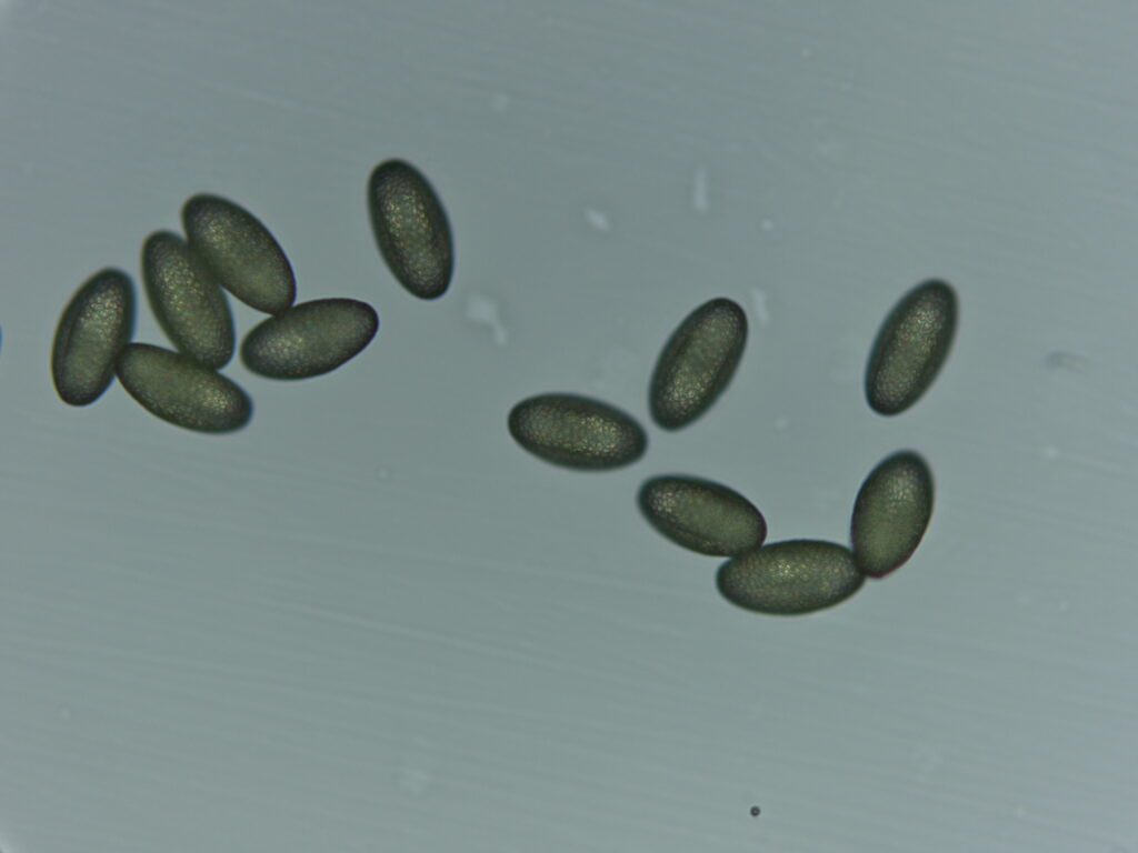 L’attribut alt de cette image est vide, son nom de fichier est SUNP0021-1024x768.jpg.